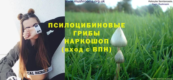 ECSTASY Алексеевка